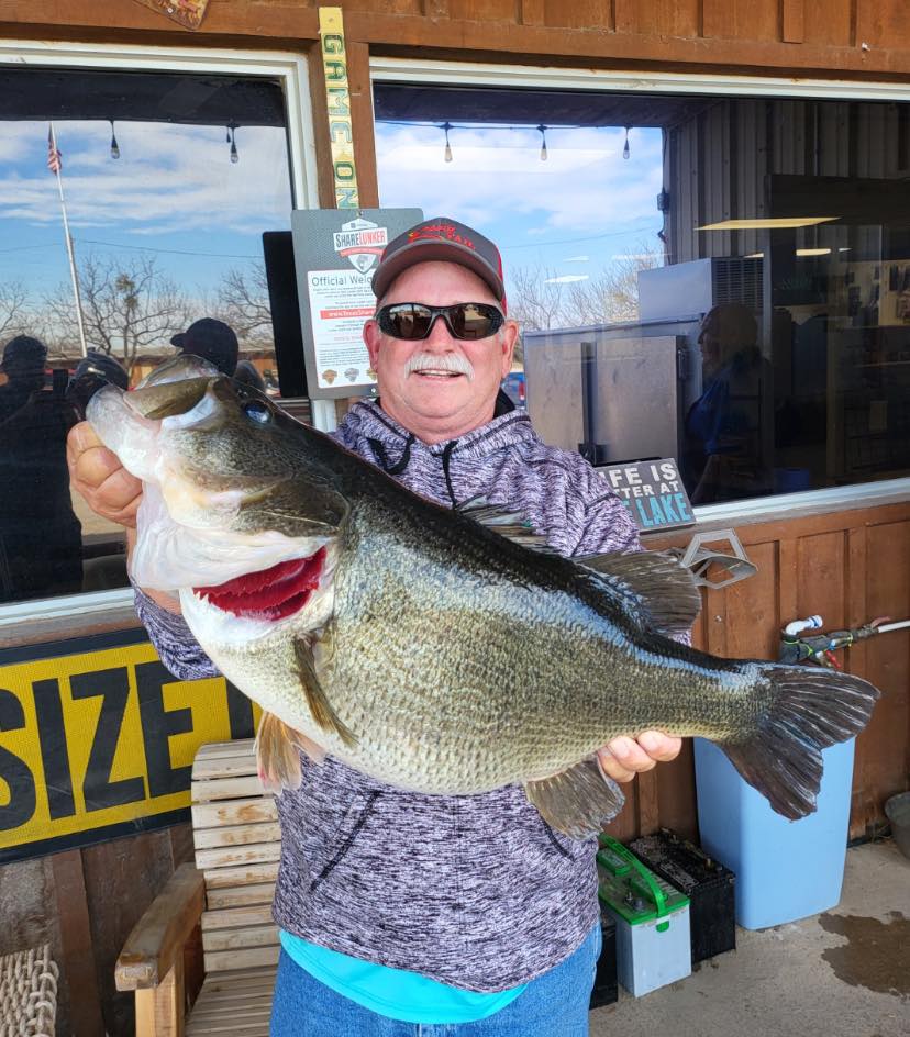 O.H. Ivie Lake produces yet again with this 14.92 pound bass caught by angler Wendell Ramsey, Sr. 