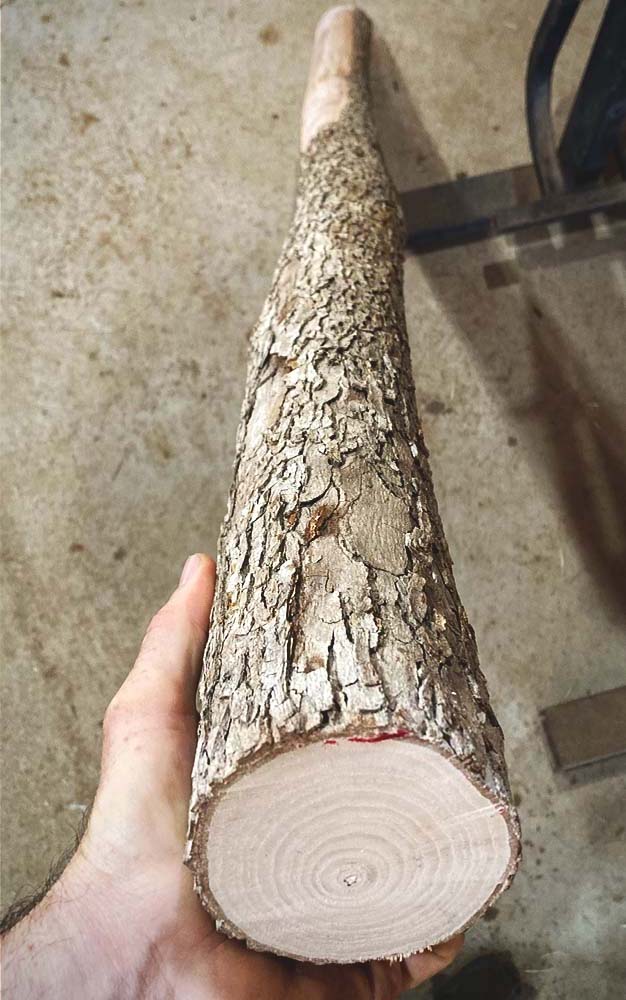 A hickory log