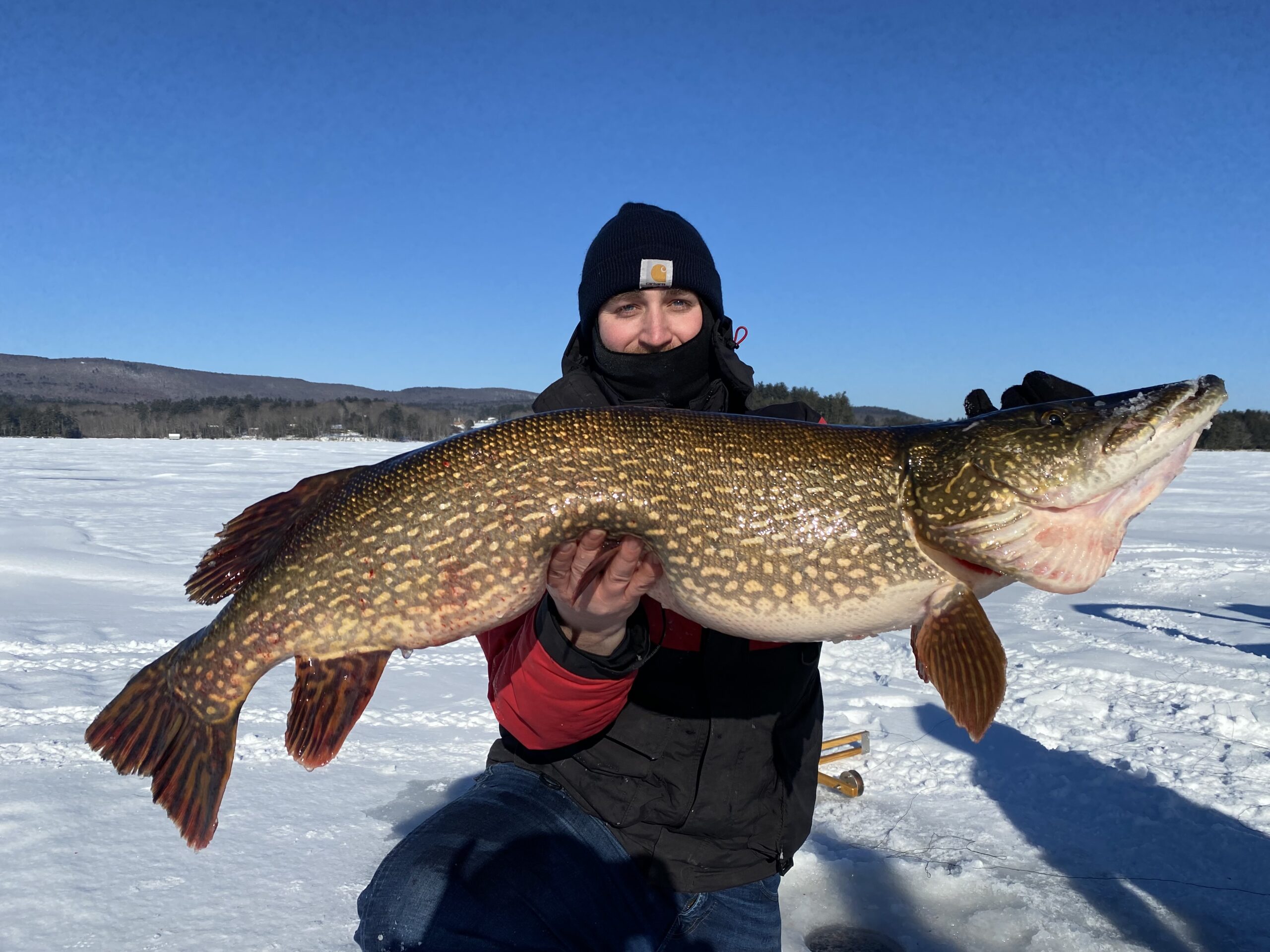Two Maine anglers teamed up to catch this pike.