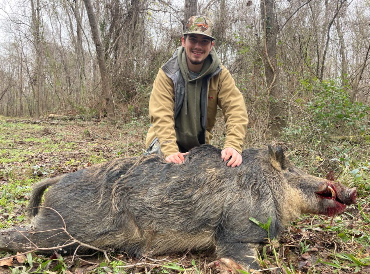 Ashton Corcoran, 22, with a massive wild hog. 