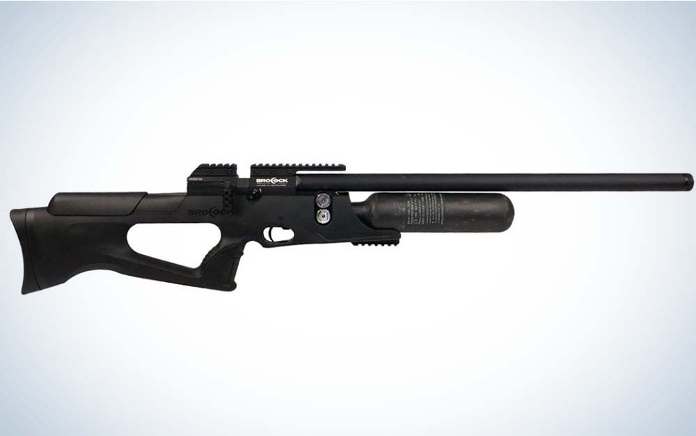 A black air rifle that is the best compact .22 air rifle