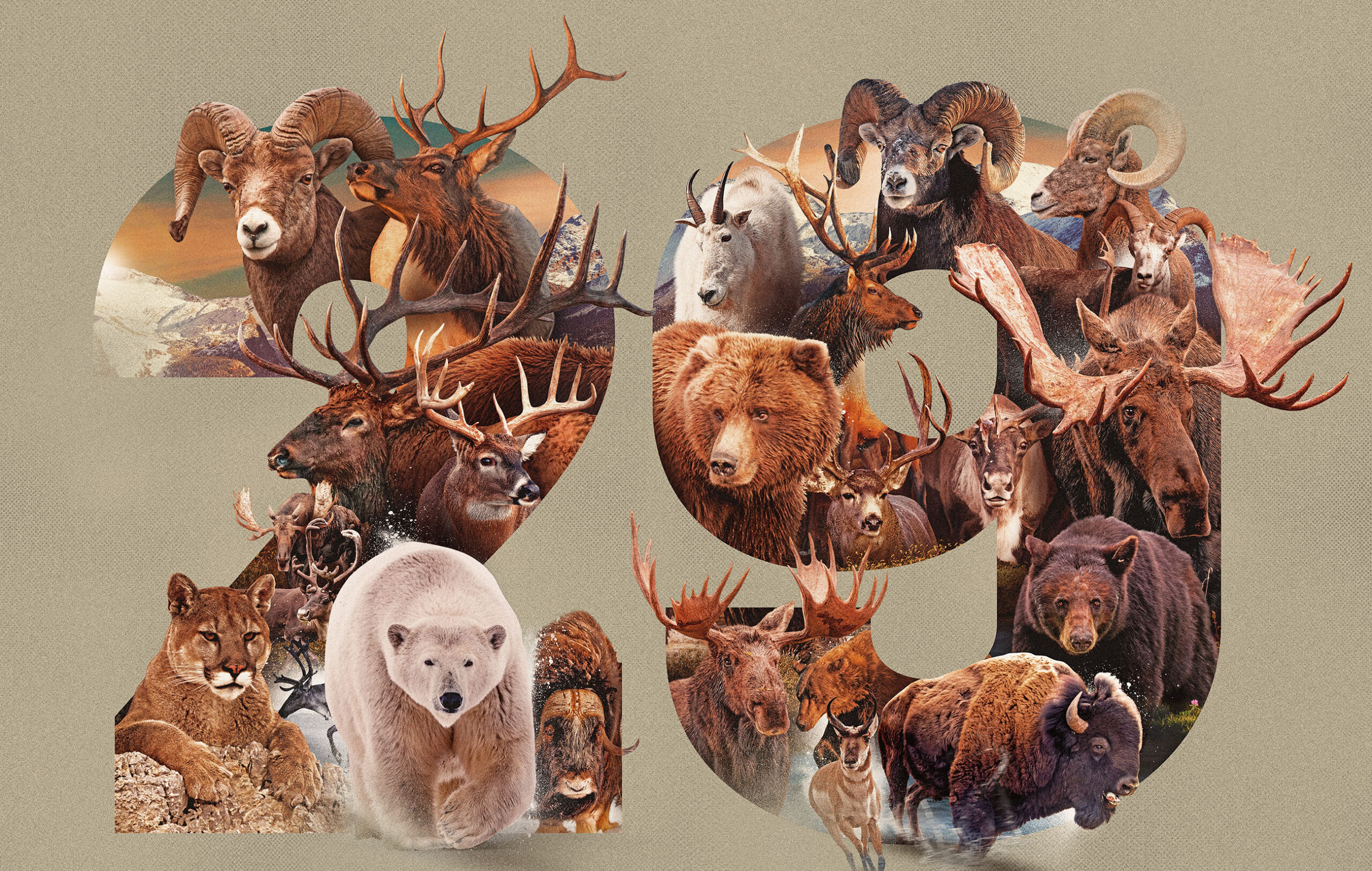 29 north american big game animals