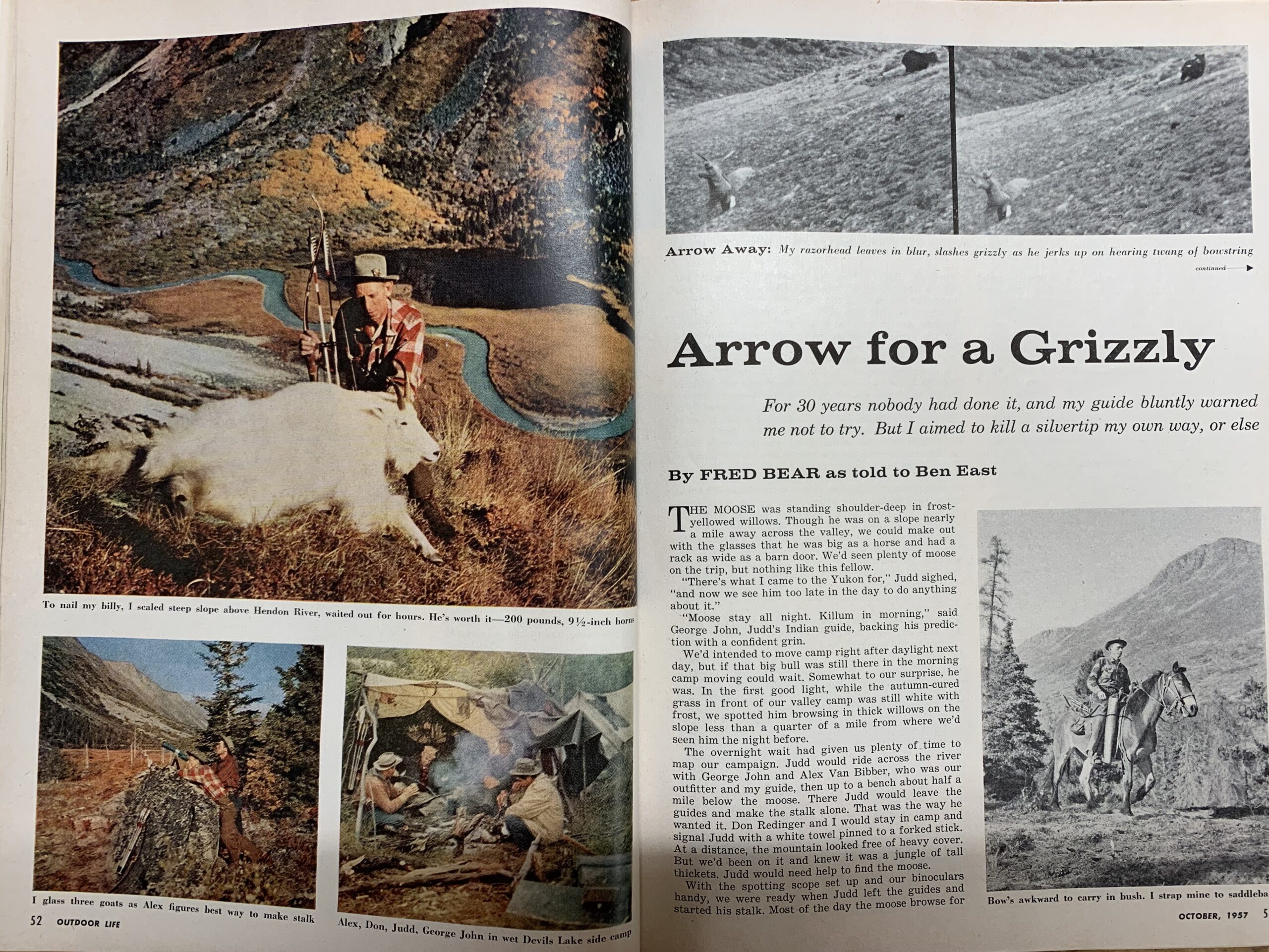 Arrow for a Grizzly: A Classic Fred Bear Tale from the Archives