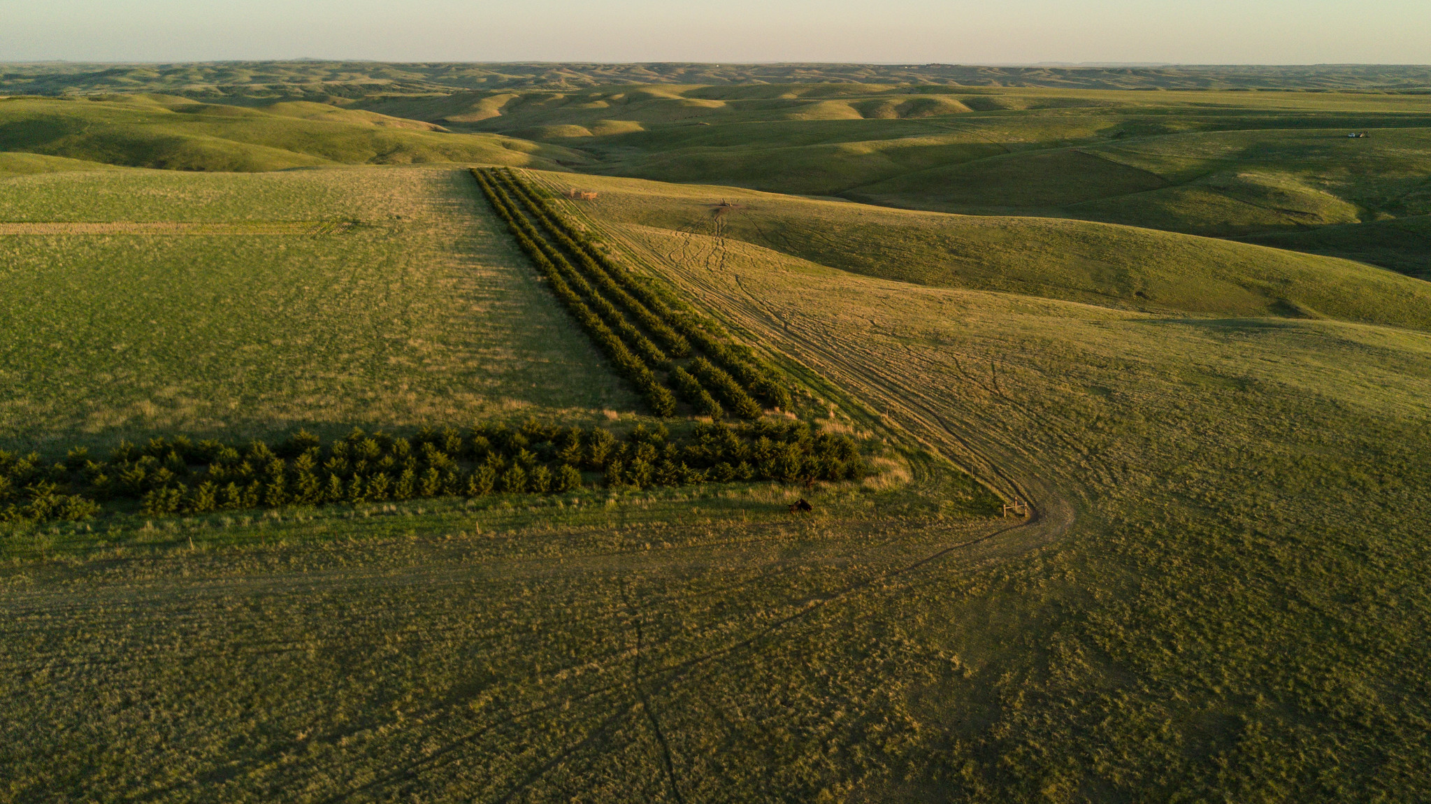 grasslands for ranching South Dakota