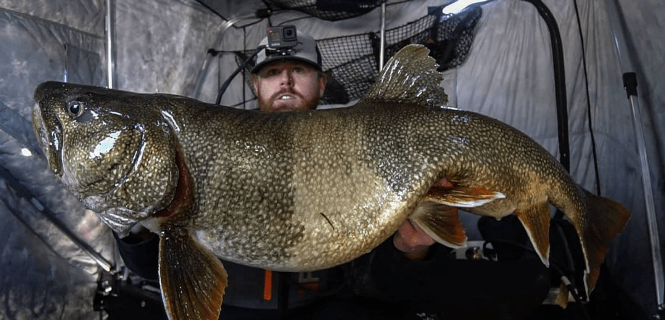 ice fisherman with a giant lake trout