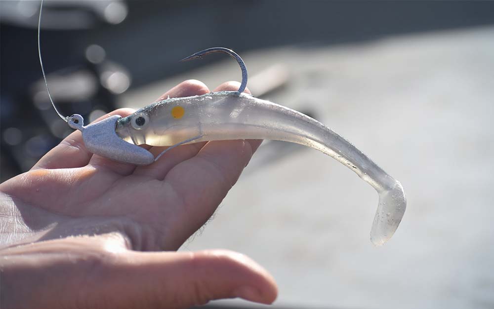 A hand holding a white swimbait