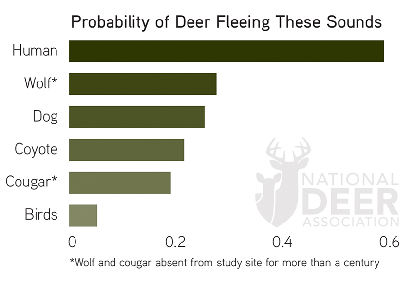 deer predators chart