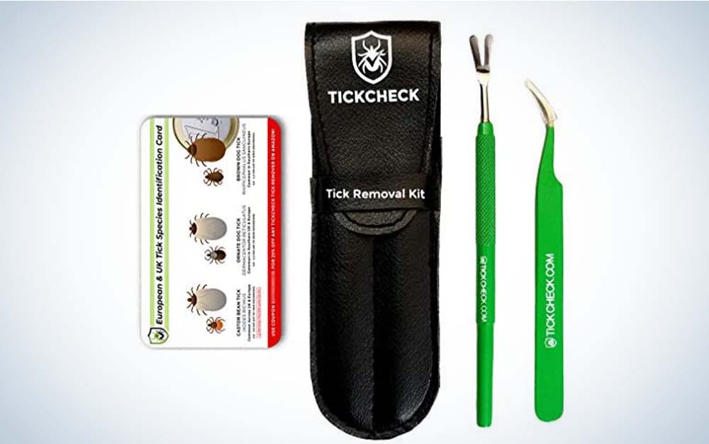 A tick removal kit