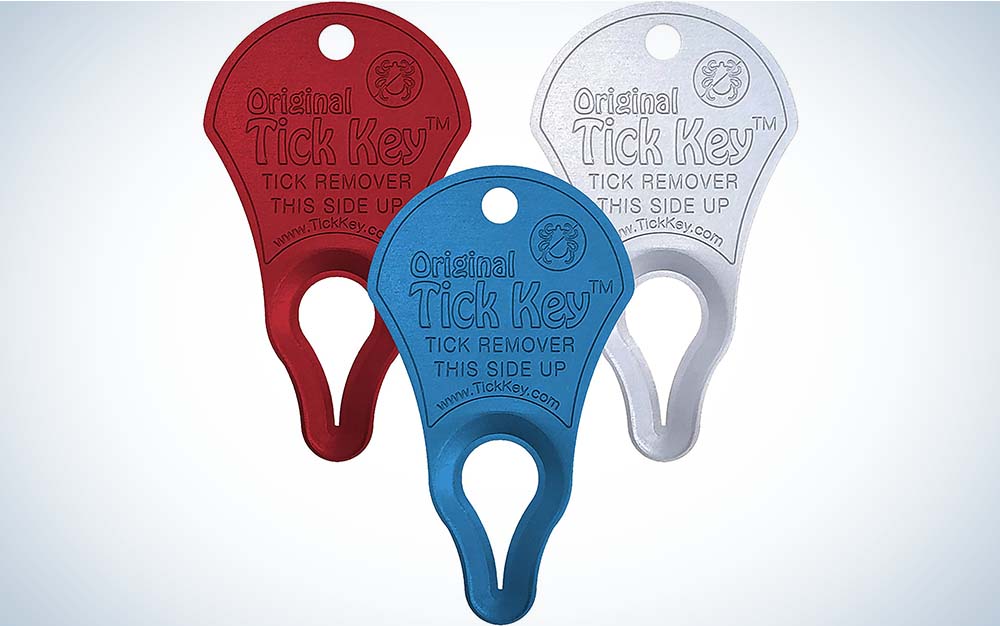 Three tick removal tick keys