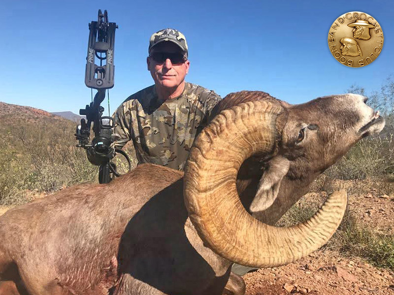 Thomas Muza collected this record desert bighorn with a bow. 