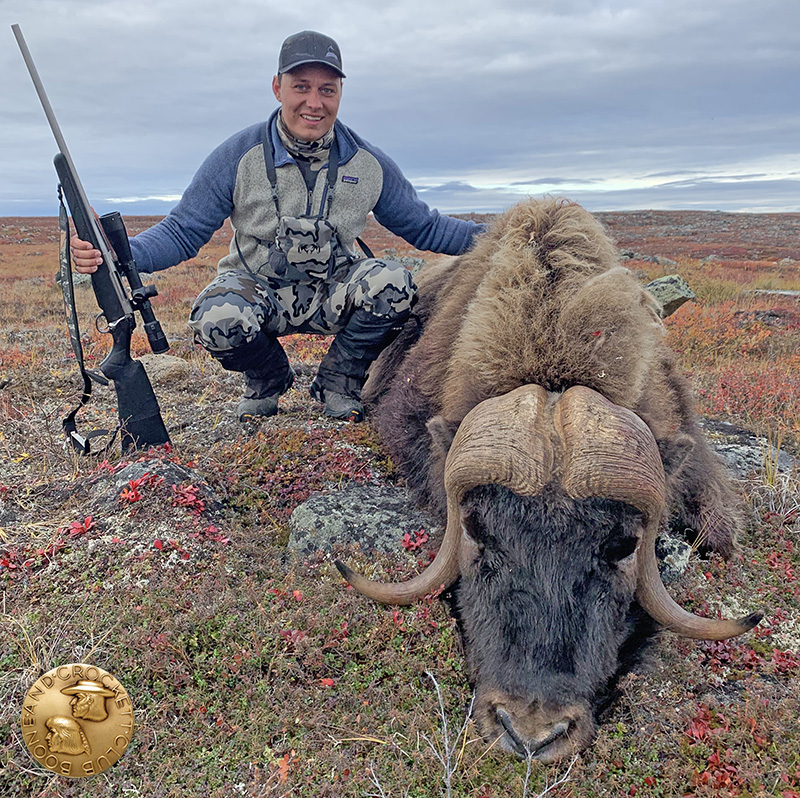 Alex Therrien stalked this record muskox for five hours. 