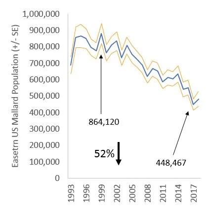 Mallard decline since the early 1990s.