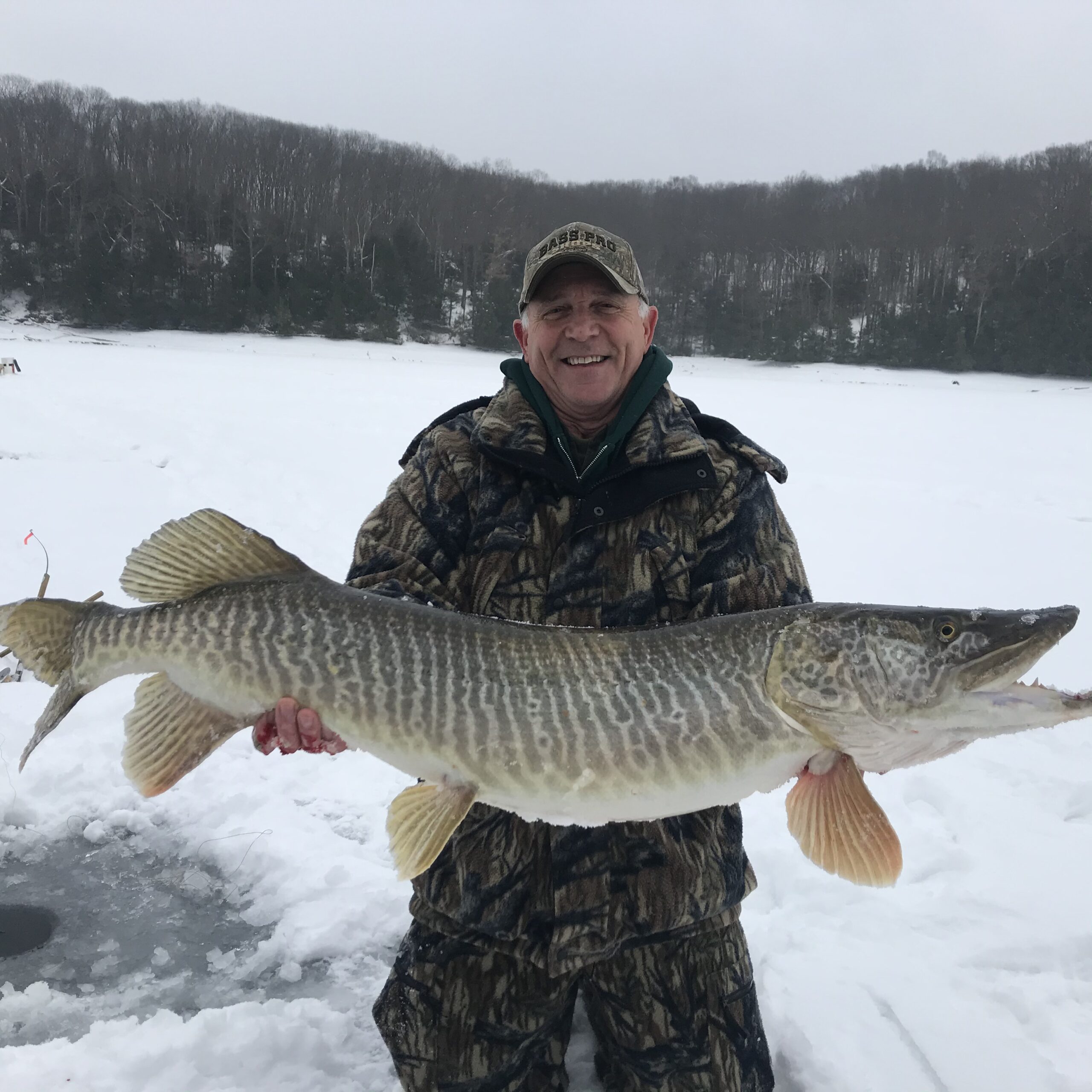 Daniel Salter caught this huge Pennsylvania tiger muskie on a tip-up. 