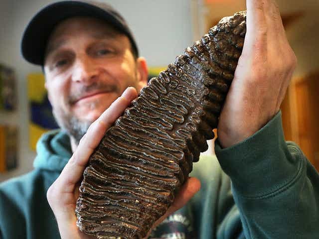 tim rider with mammoth tooth