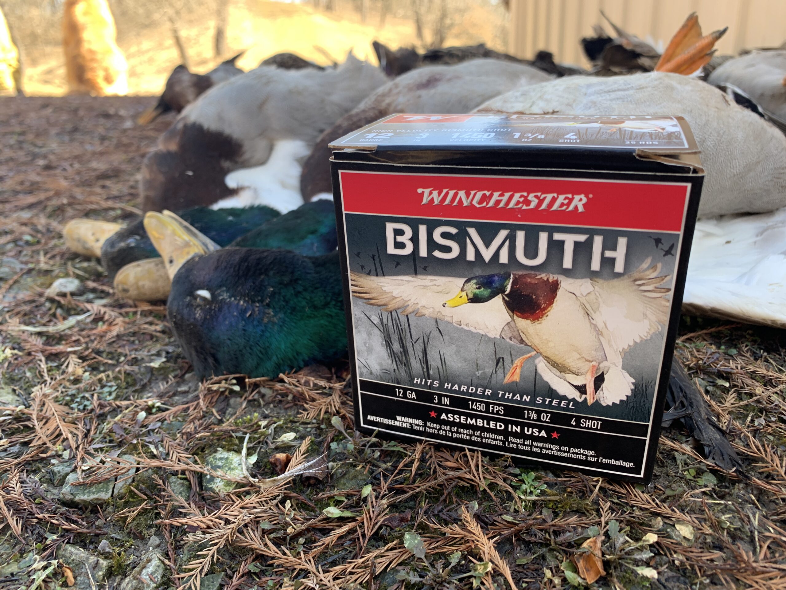 Winchester Bismuth is one of the best loads in waterfowl.