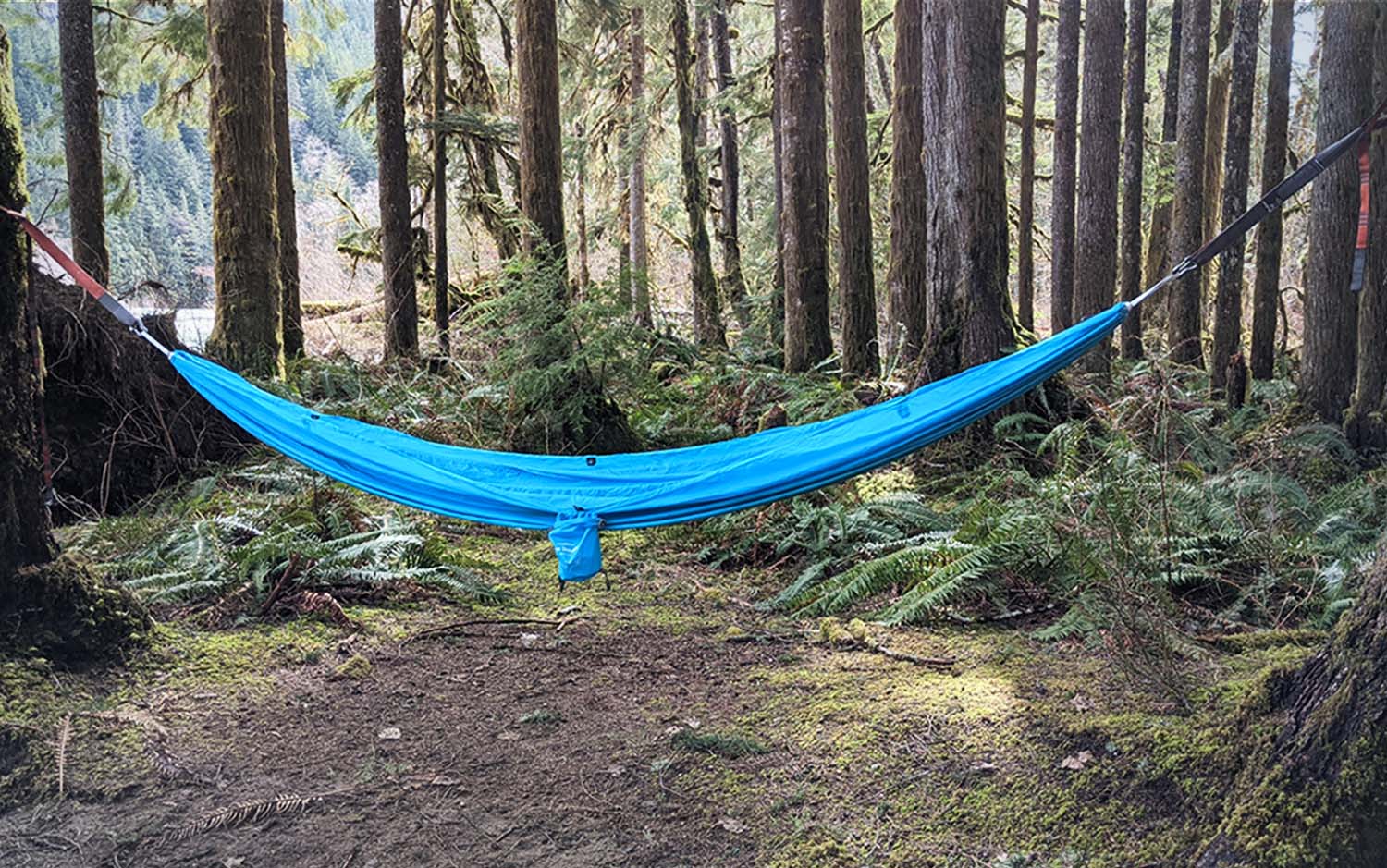 A blue best camping hammock hanging in the woods