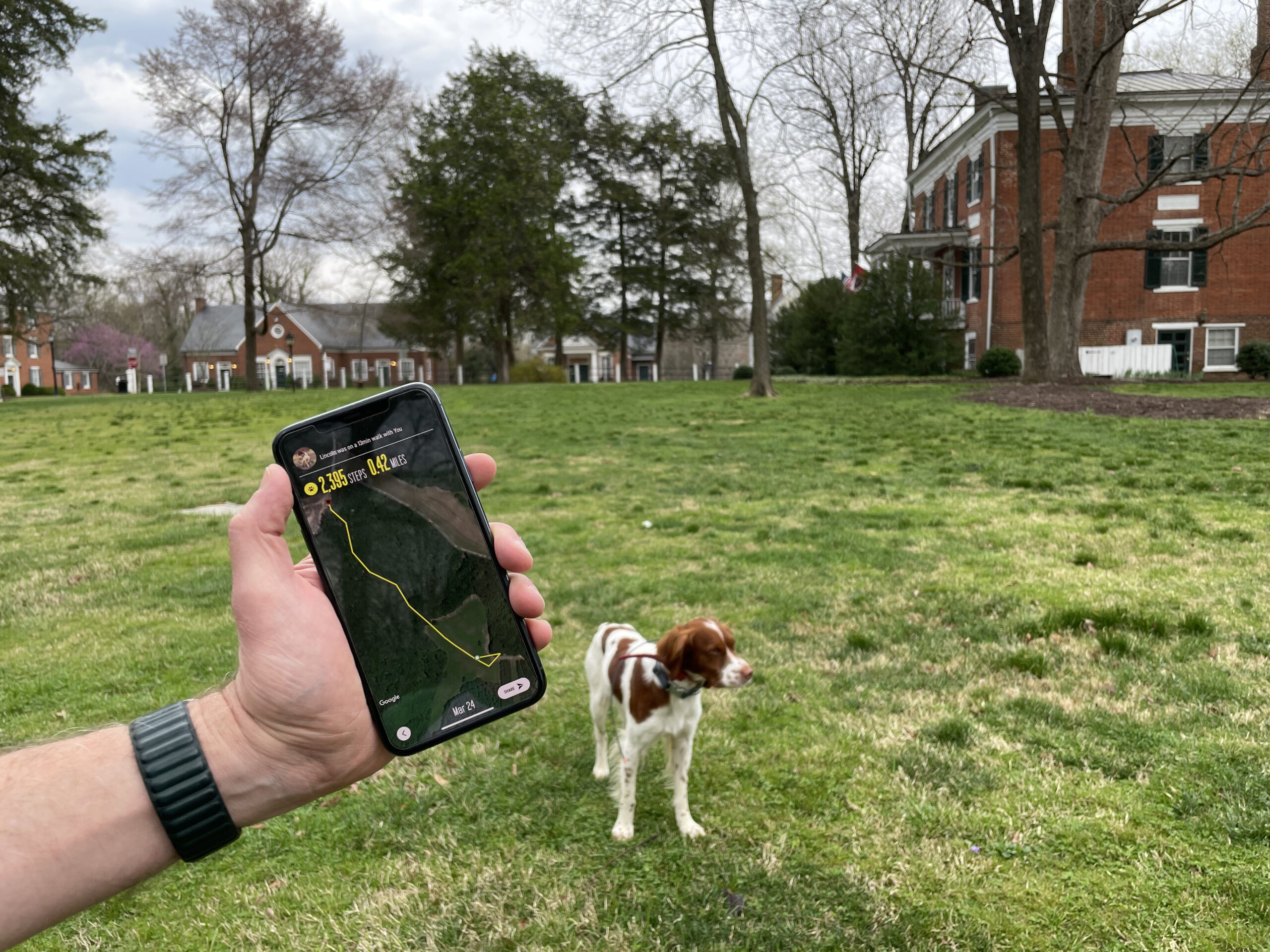 The app allows you to track your dogs path. Robb Moore