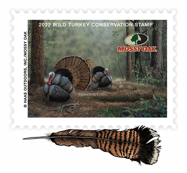 The inaugural Mossy Oak wild turkey conservation stamp.