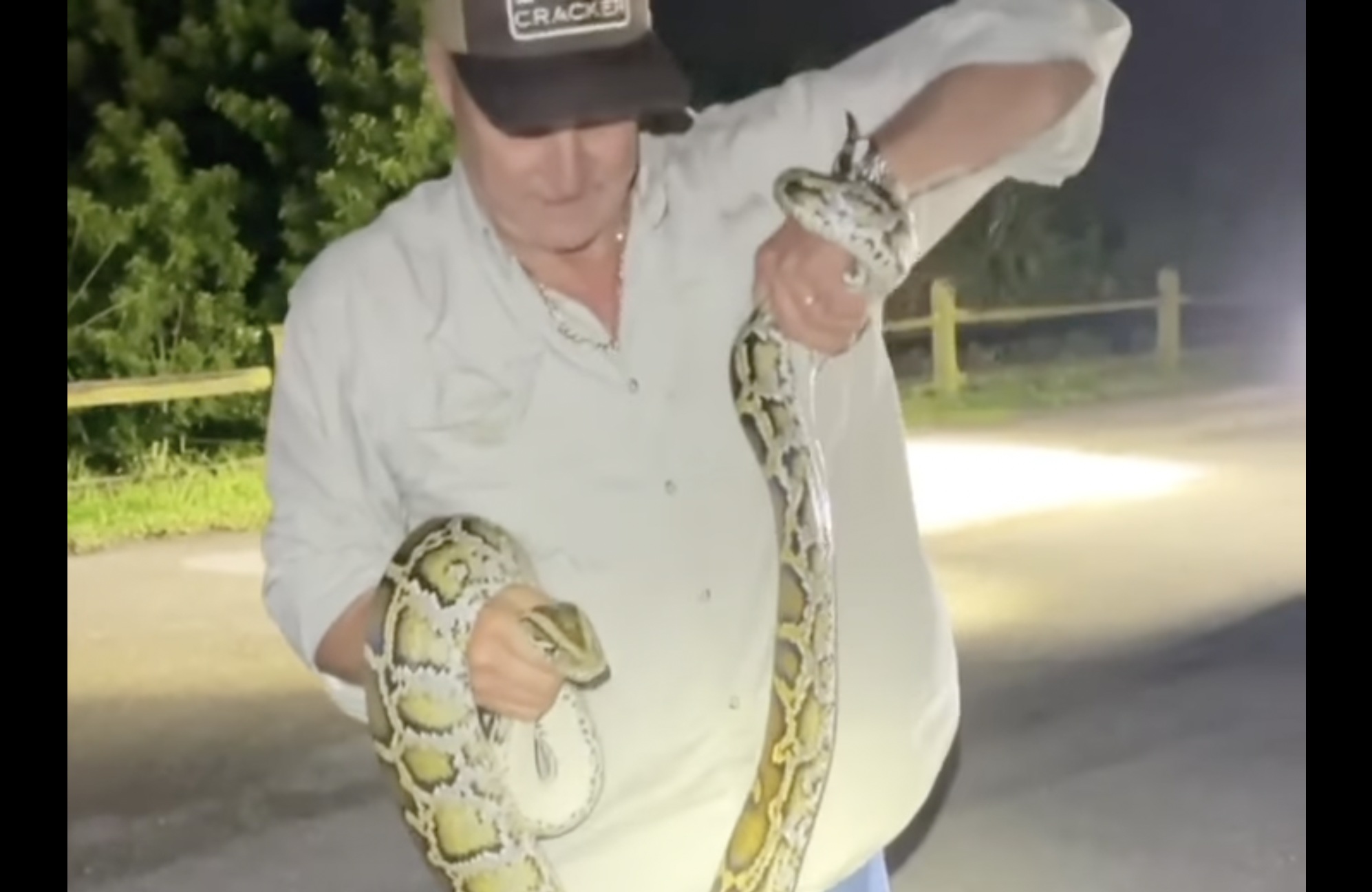 video grab python
