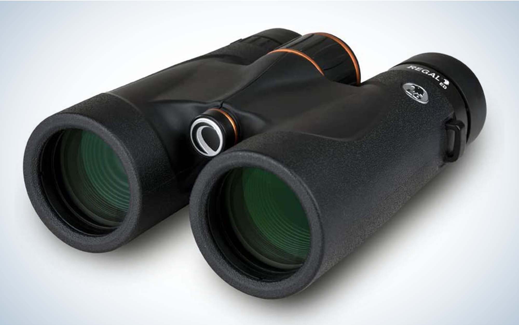 The Celestron Regal ED are 10x42 binoculars.