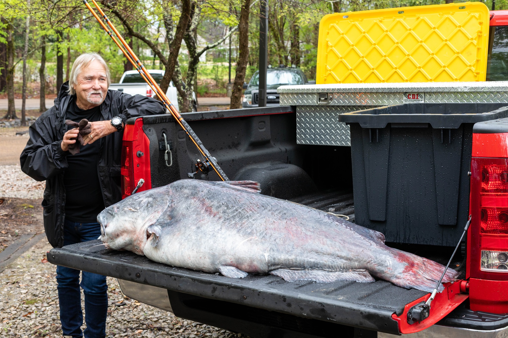 Giant state-record blue catfish out of Mississippi.