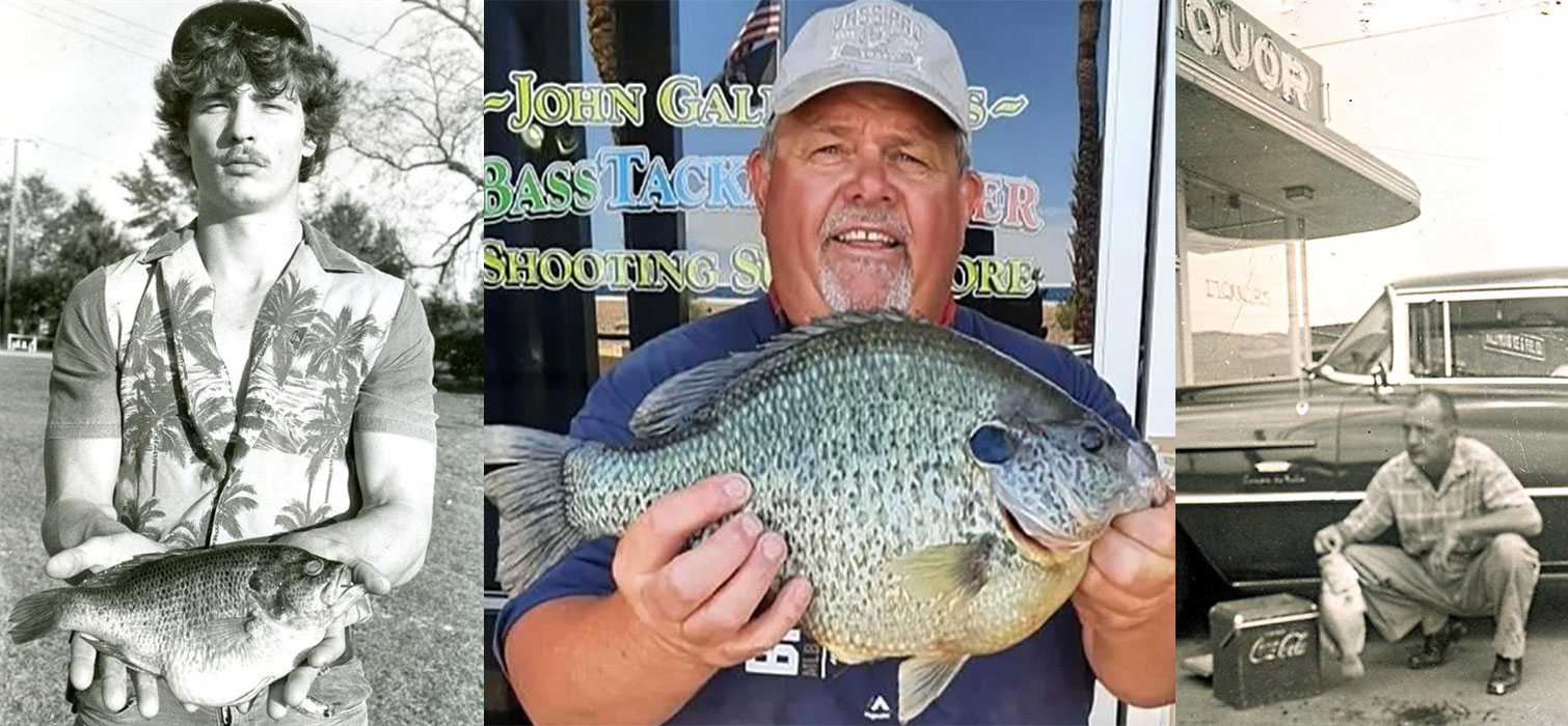 From left: the record warmouth, redear, and white crappie.
