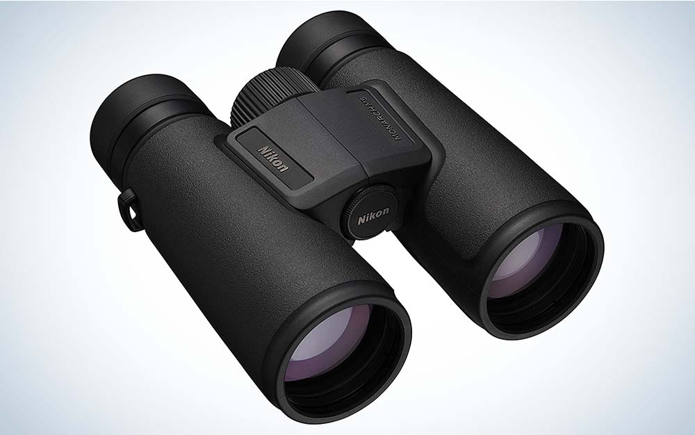 This compact 8-power binocular does everything well enough for a top budget pick.
