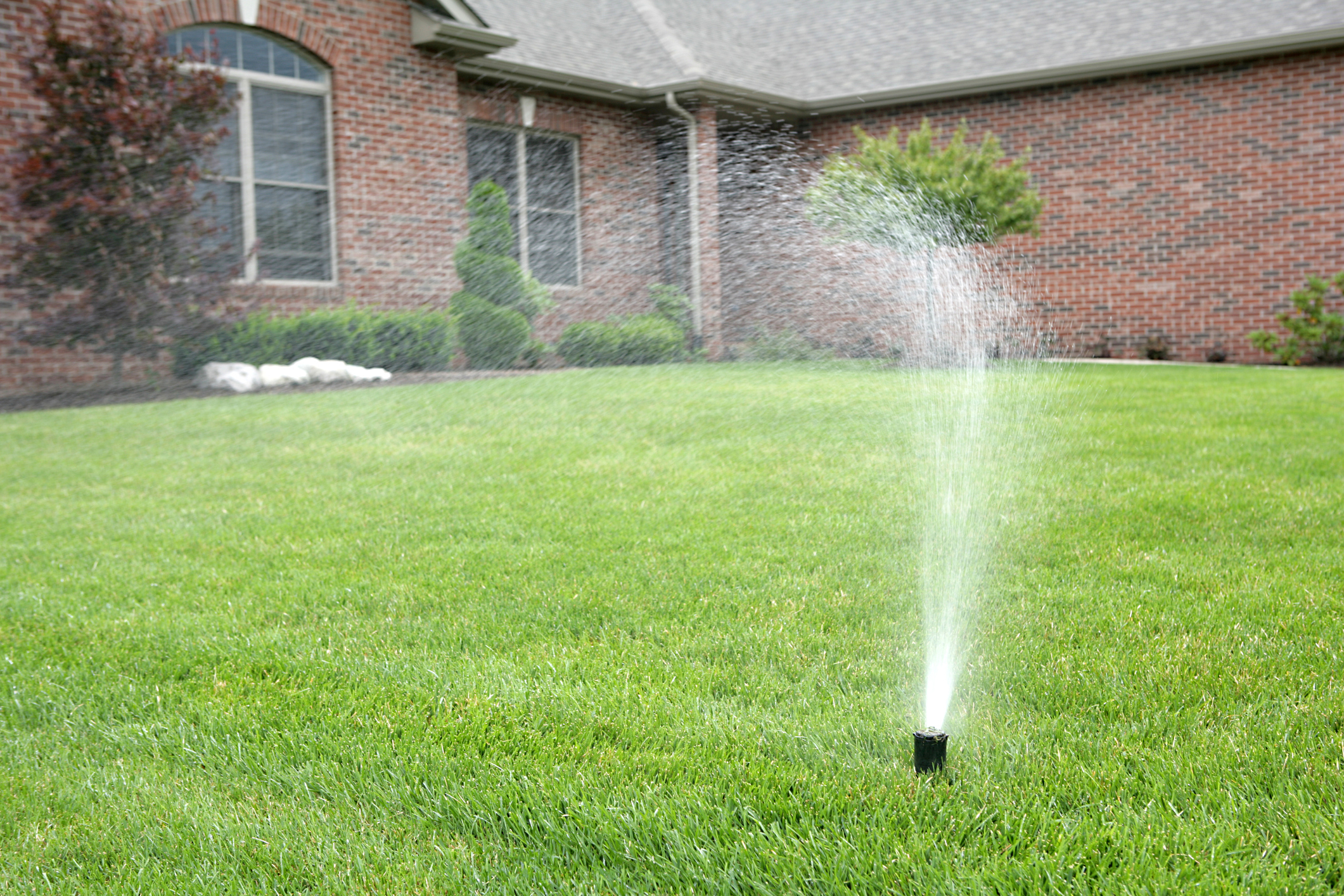 American lawns use 9 billion gallons of water per day. 
