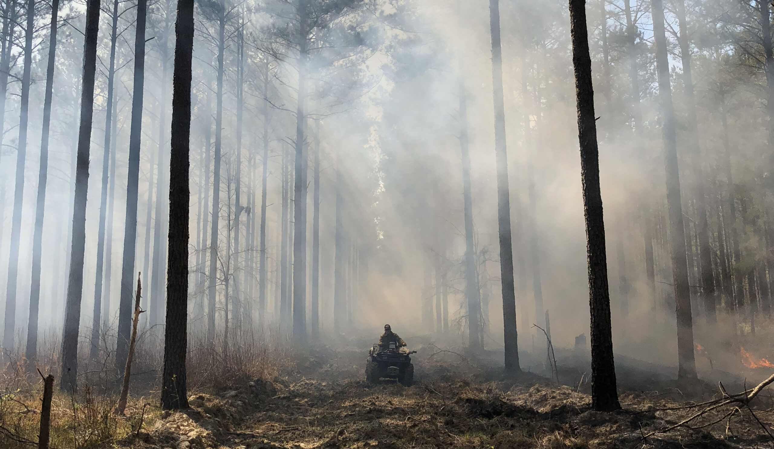 A prescribed burn is one way to help out on earth day.