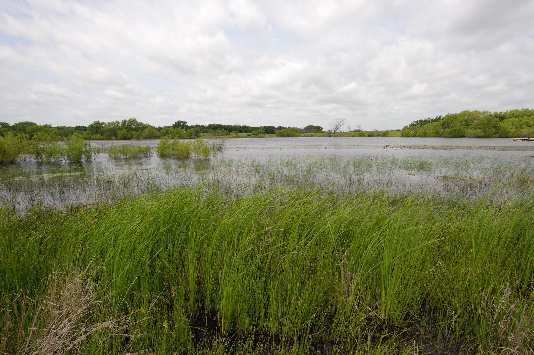 The Migratory Bird conservation Commission approved $95 million for wetlands and wildlife refuges.
