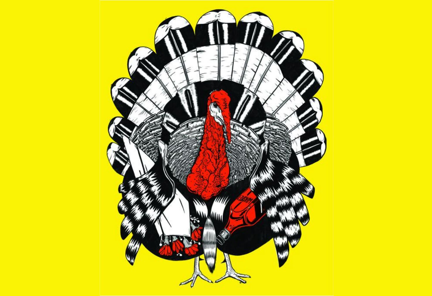 Two-year-old tom turkey illustration.
