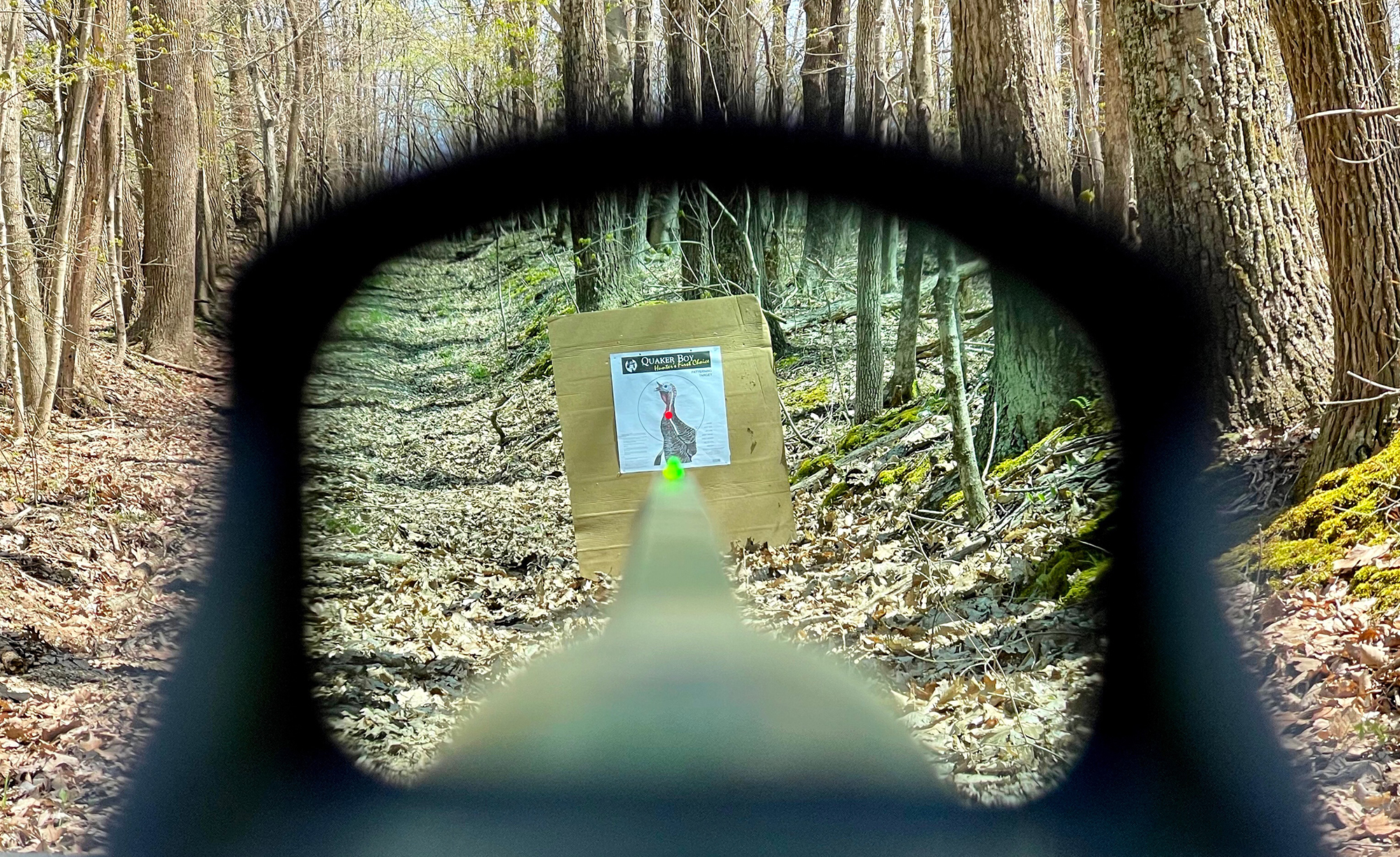 Red dot sights for turkey hunting.