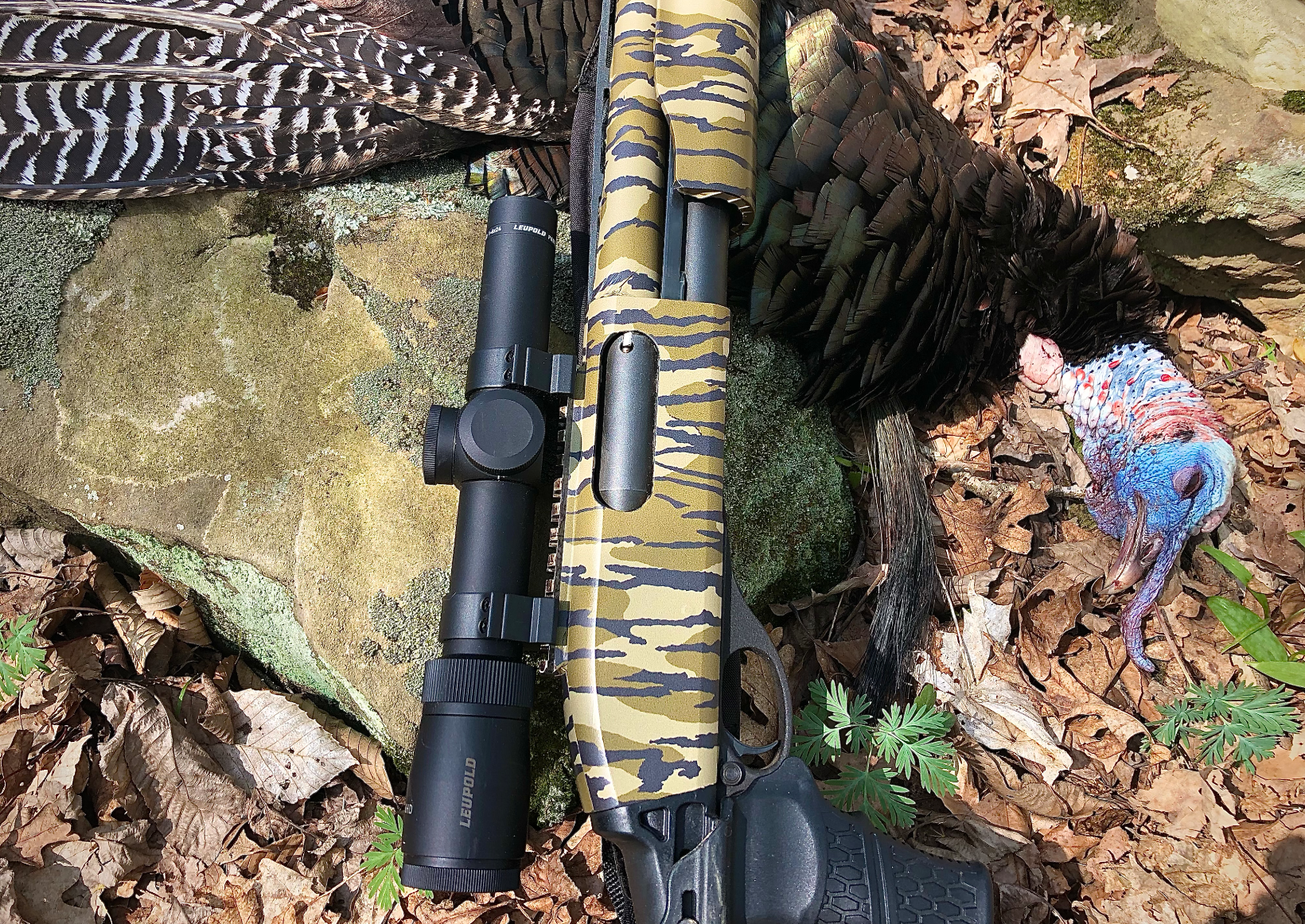 Scopes for turkey hunting.