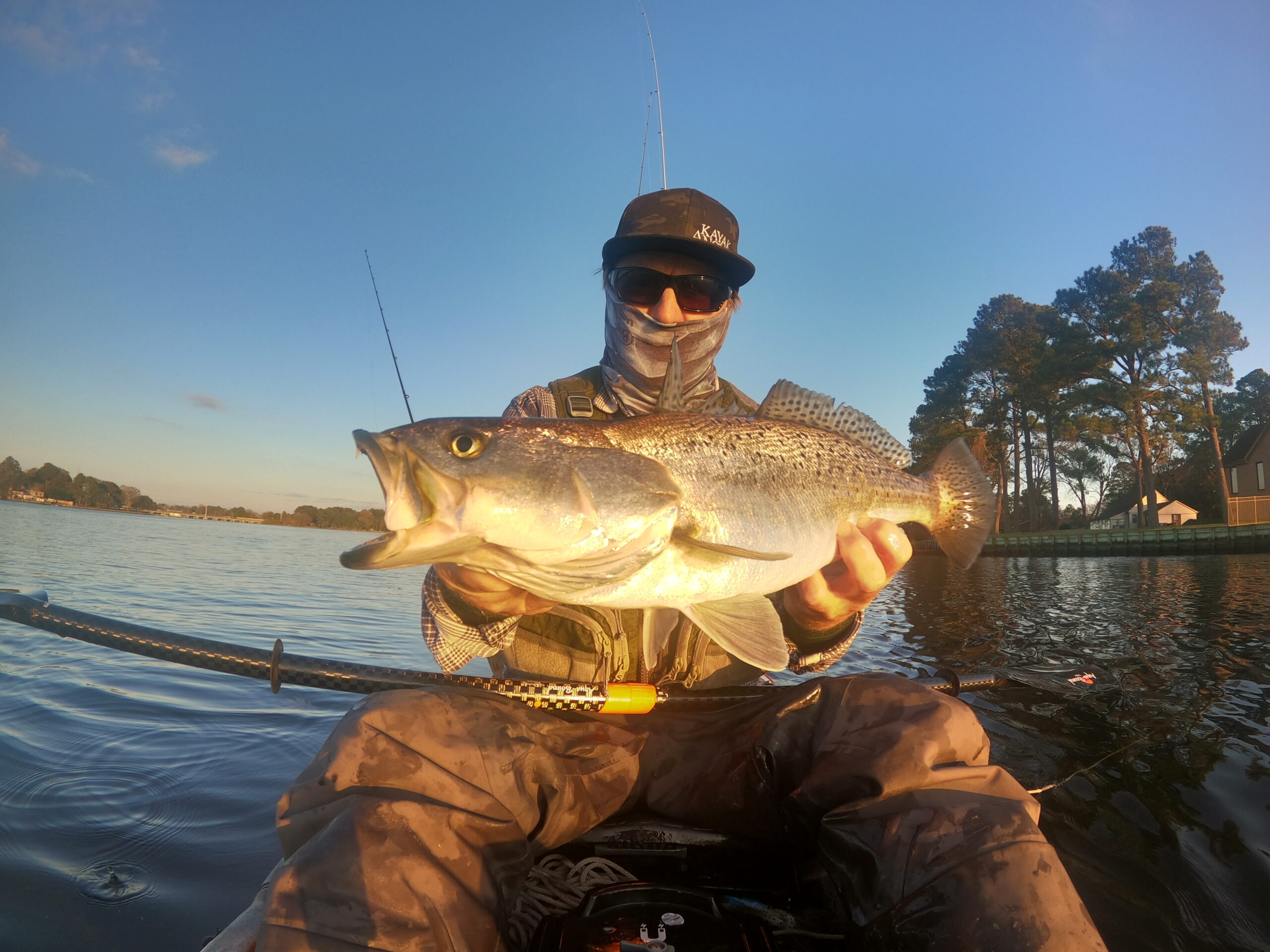 To choose the best speckled trout lures consider their keen eyesight.