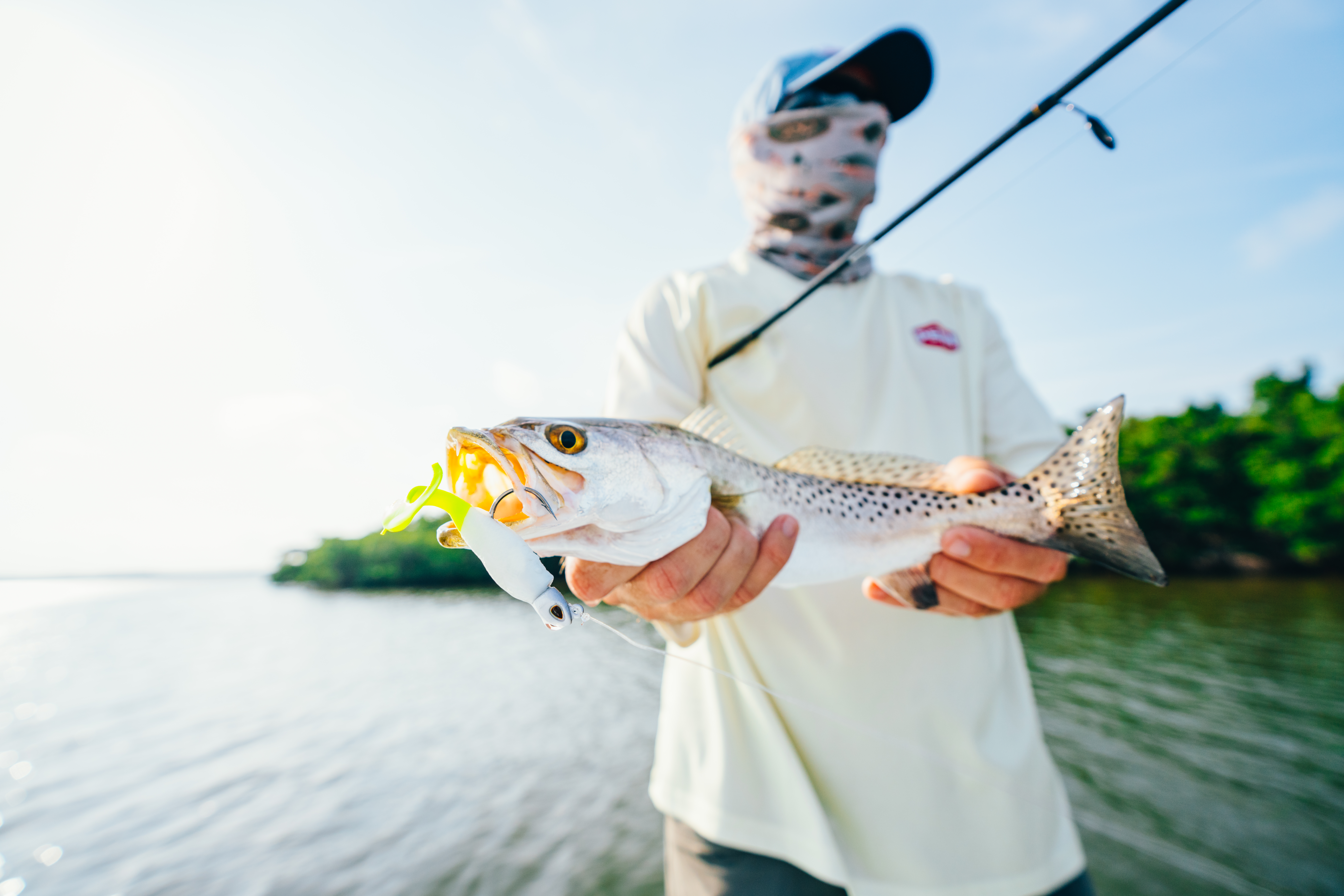 The Best Speckled Trout lures are proven baits that work from Virginia to the Gulf Coast t