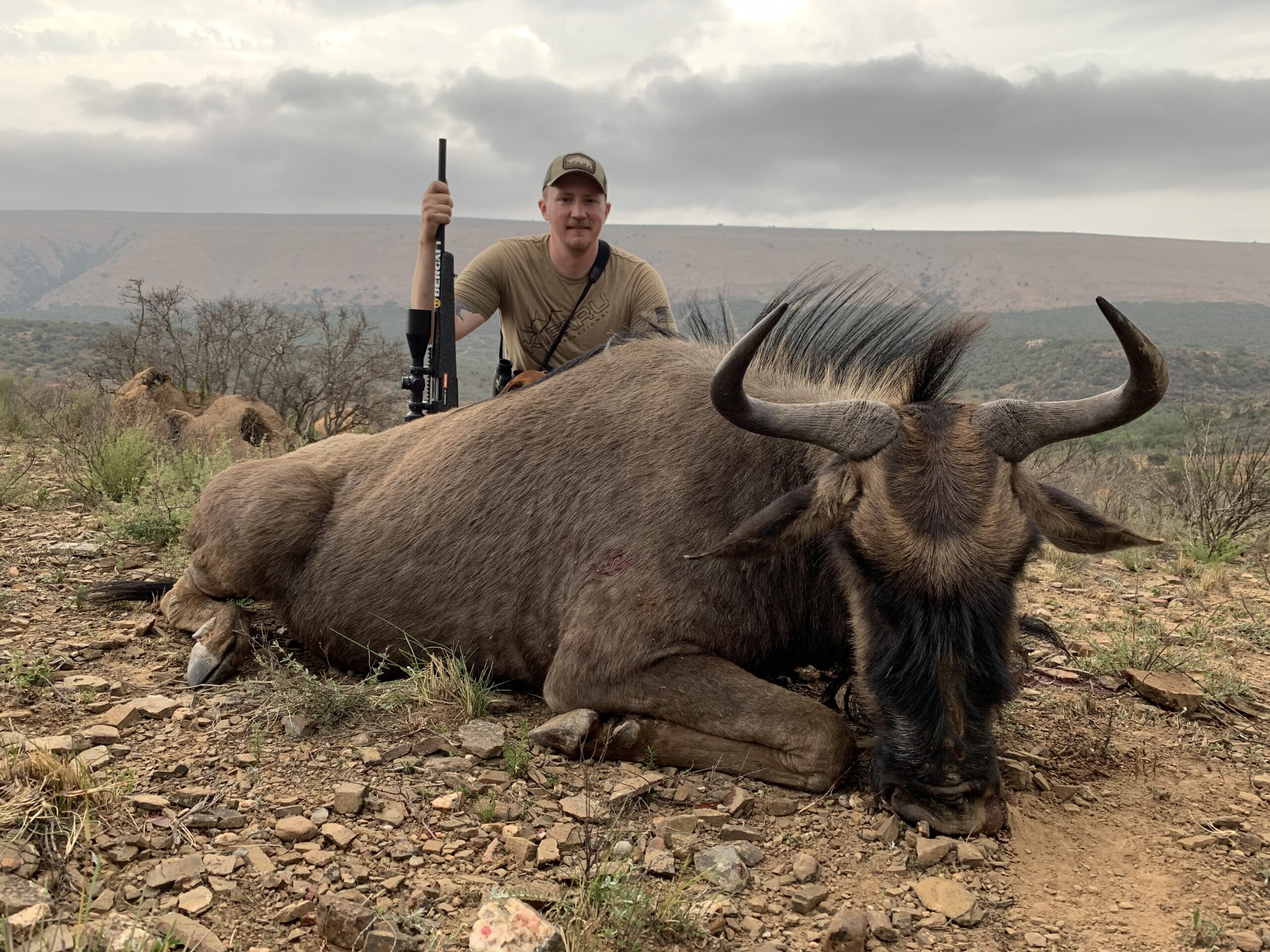 Freel with a South African Wildebeest