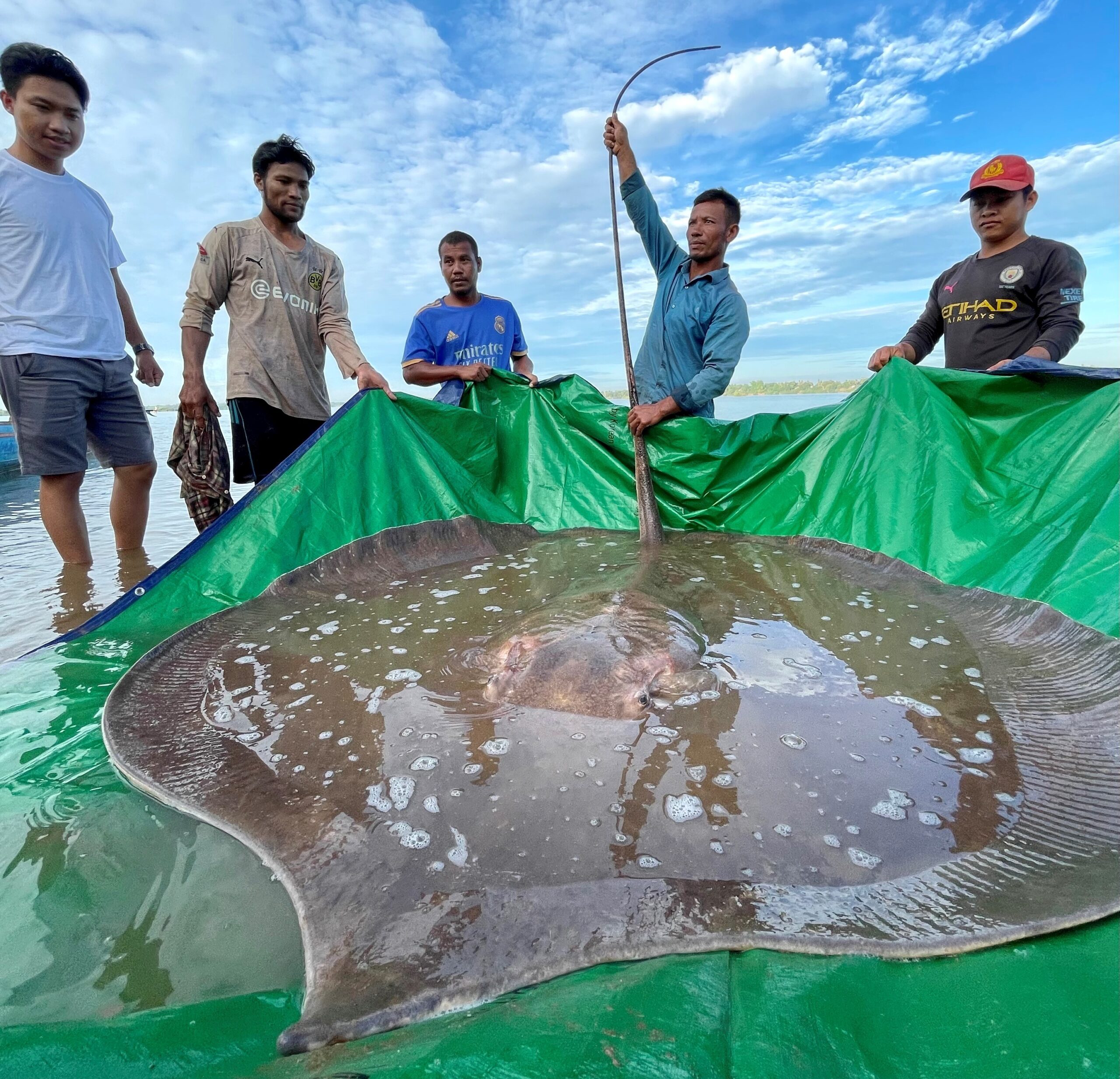 The crew celebrates its catch of a huge ray prior to its release. 