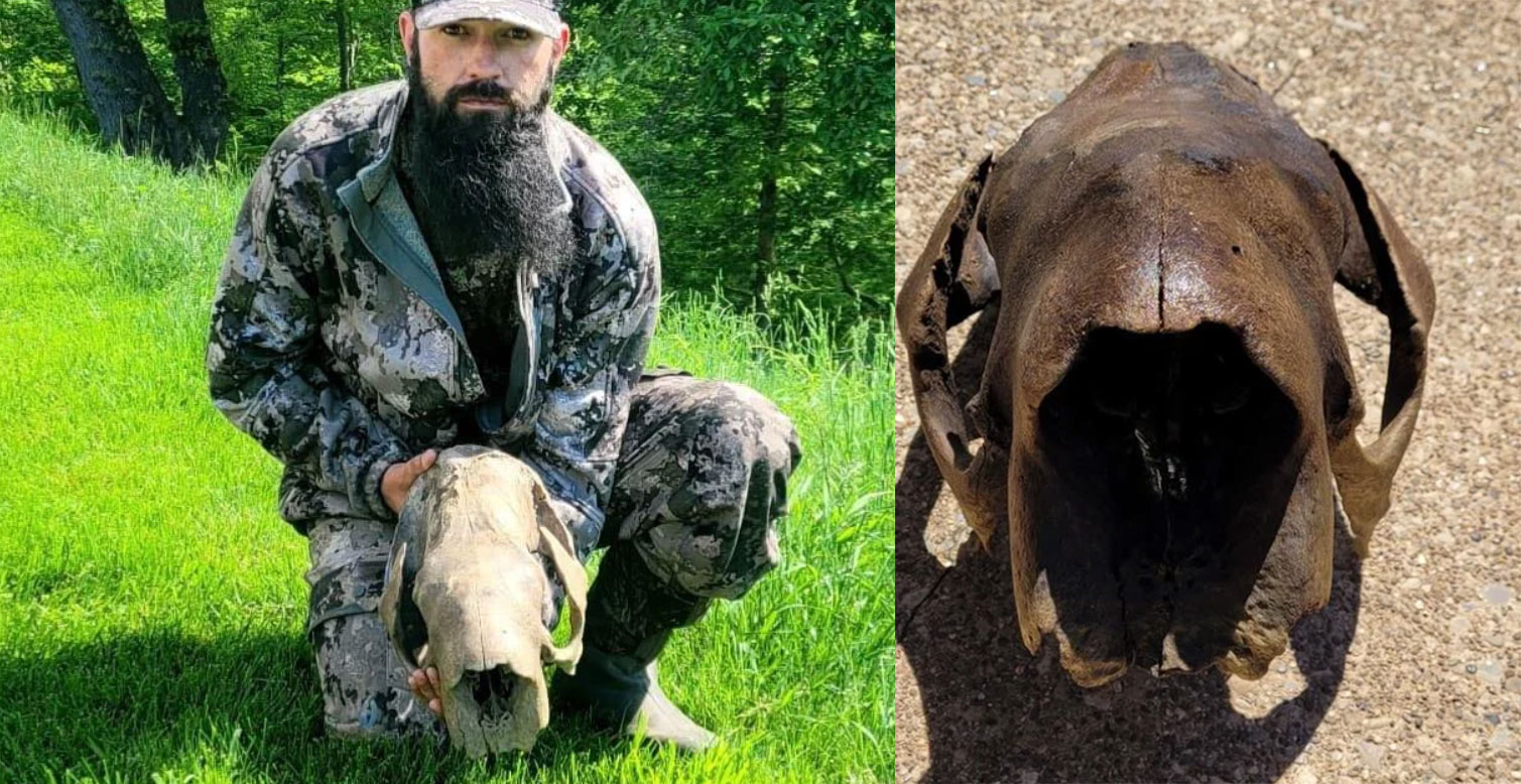 Turkey hunter finds a sloth skull.