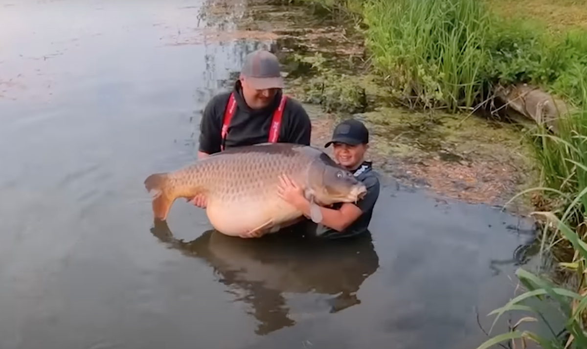 An 11 year old managed to catch a massive 96 pound carp