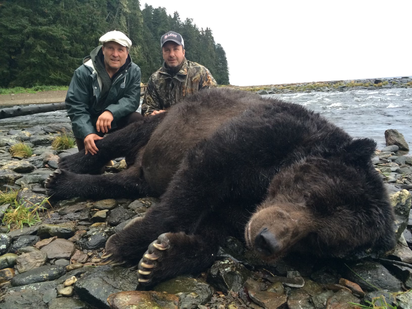 Brown bear hunting Alaska