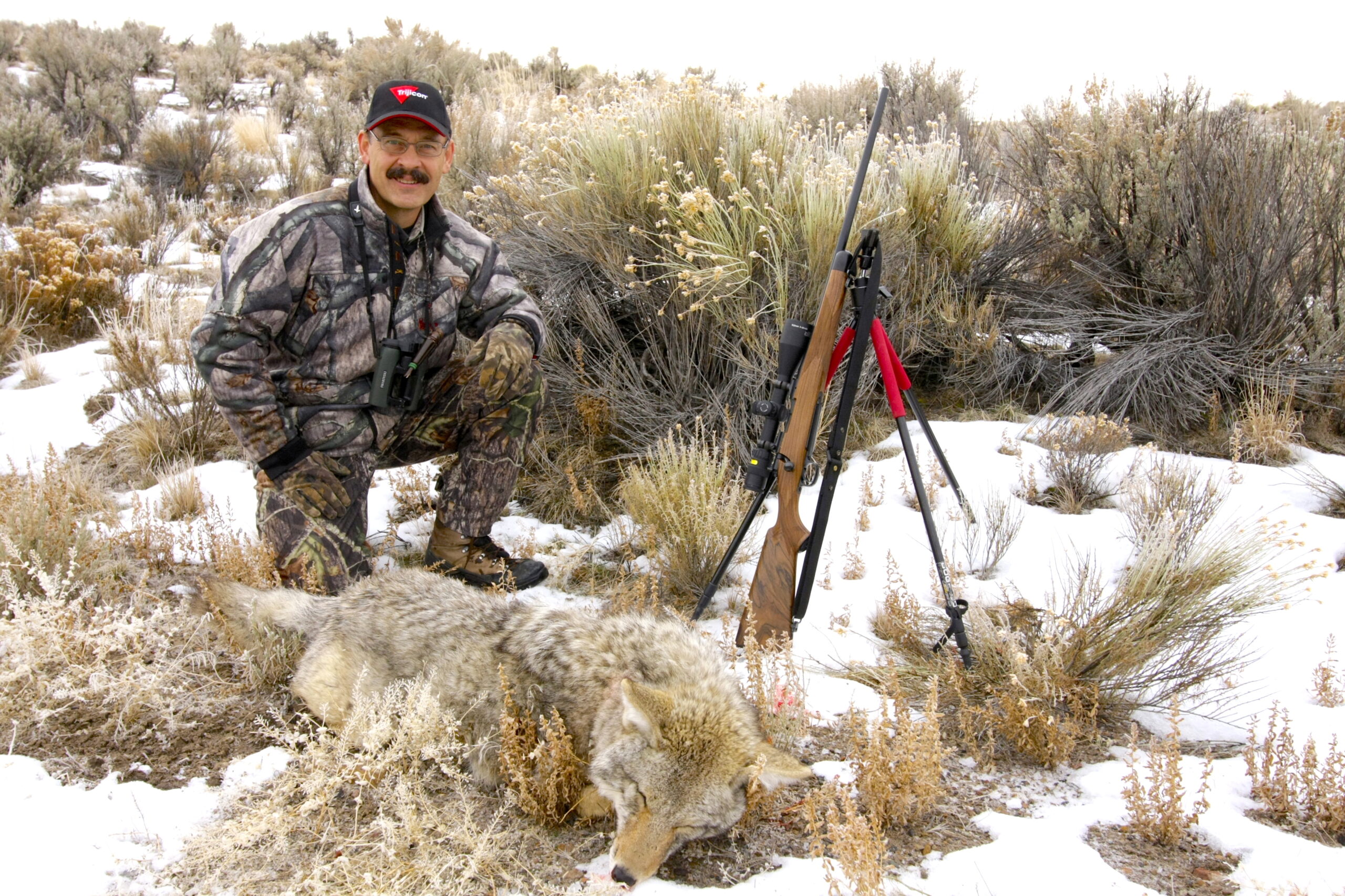 The author with a Nevada coyote taken with a 6mm Rem.