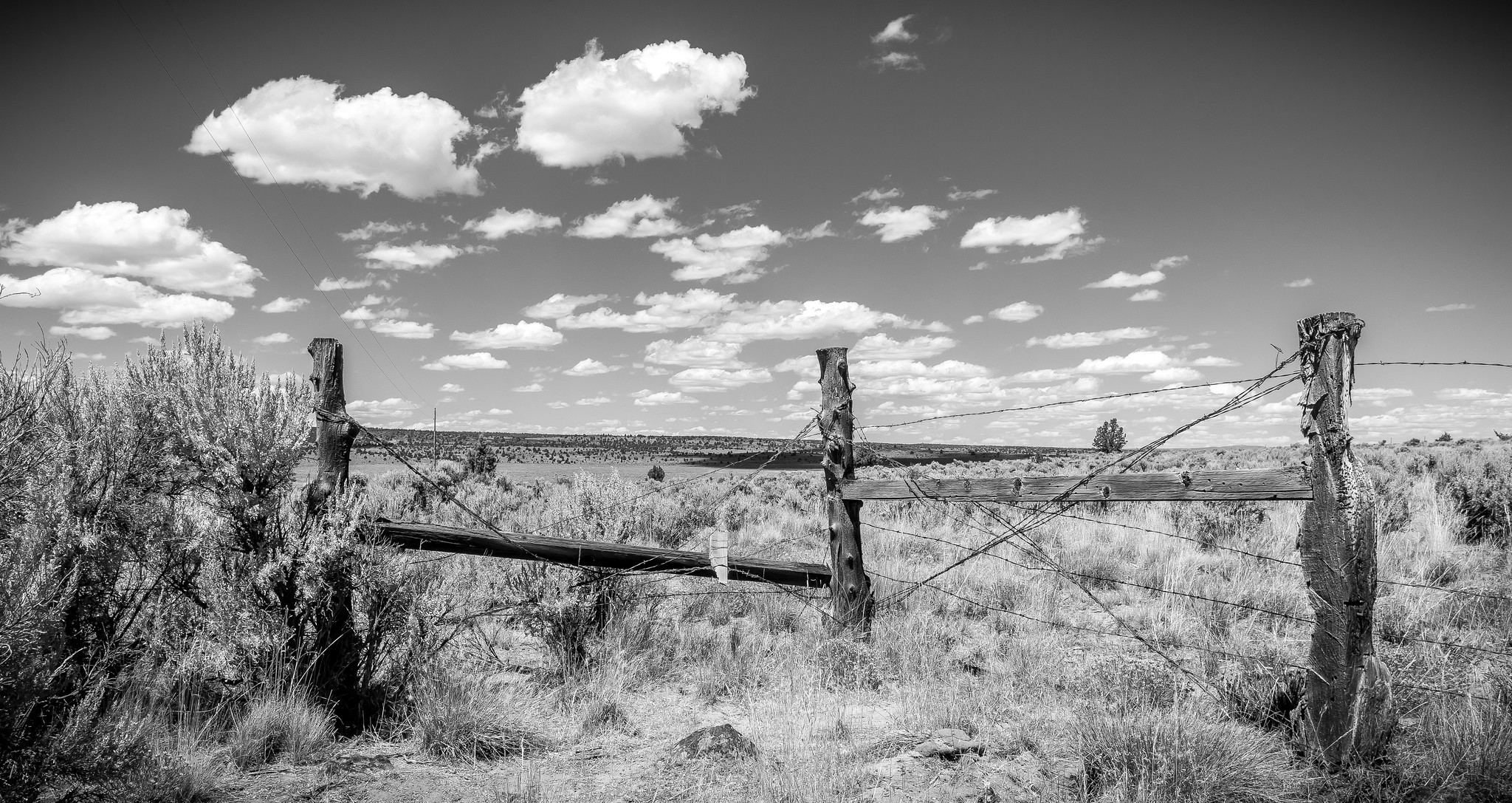 a fence on blm land
