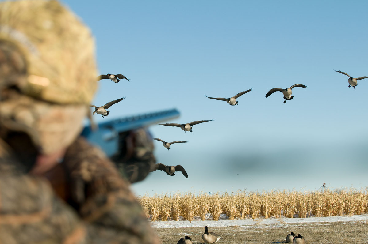 Five Simple Duck Hunting Tips Outdoor Life
