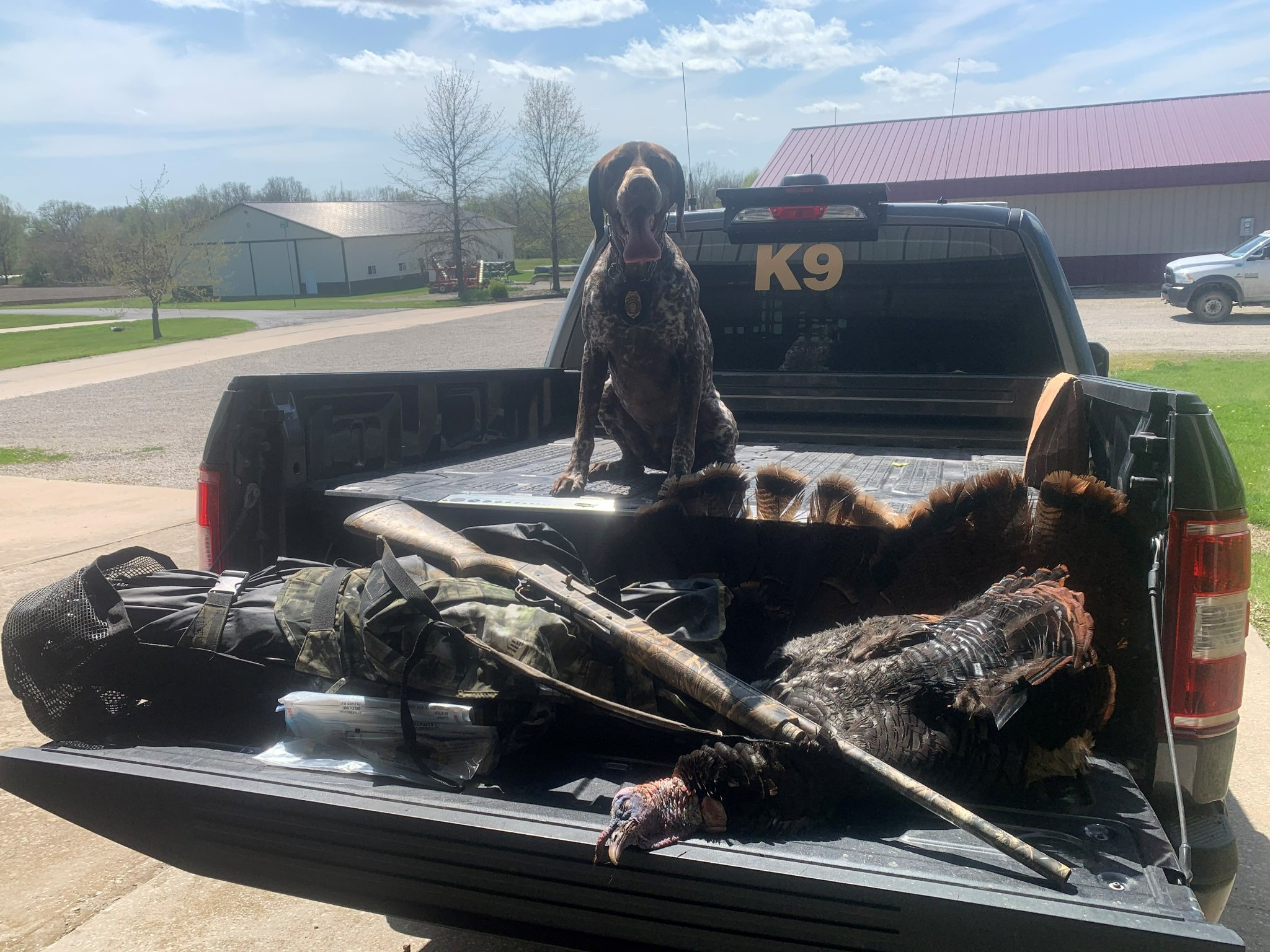 Missouri K9 busts turkey poachers