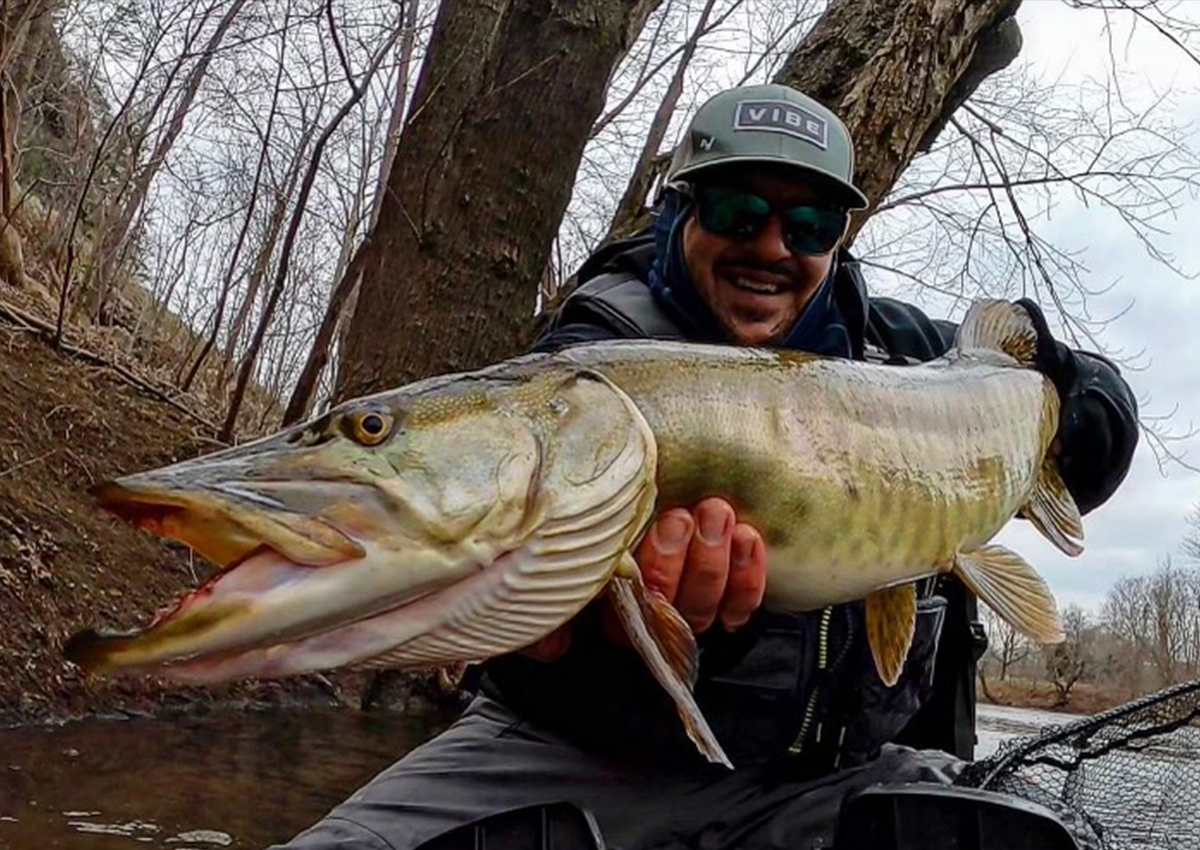 The author holding a musky caught on one of the best musky reels