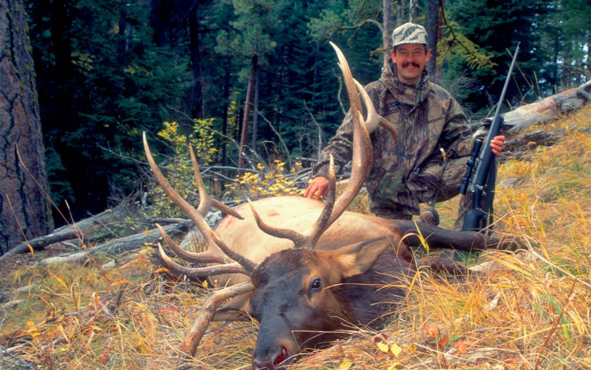 The Best Elk Hunting Calibers in 2023