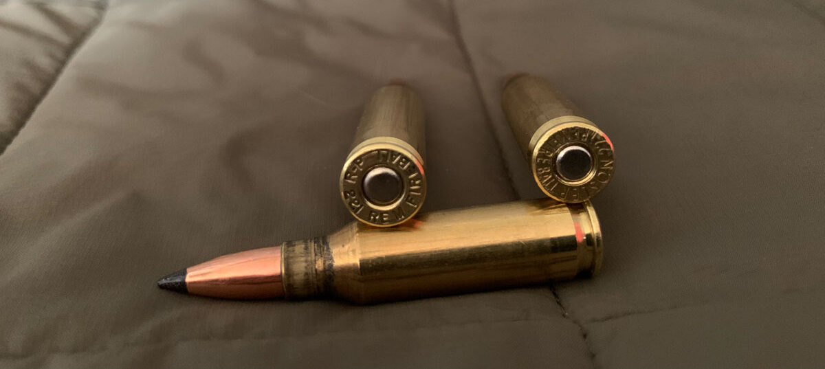 Remington, Federal, Lapua, Norma, and Nosler all make brass for the .221 Fireball.