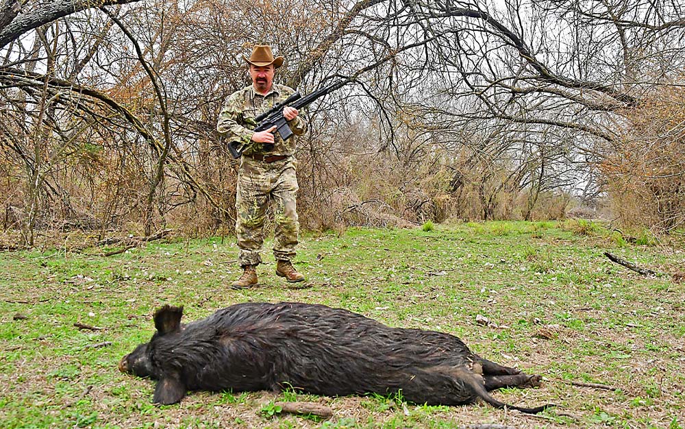 Hog hunting with an AR