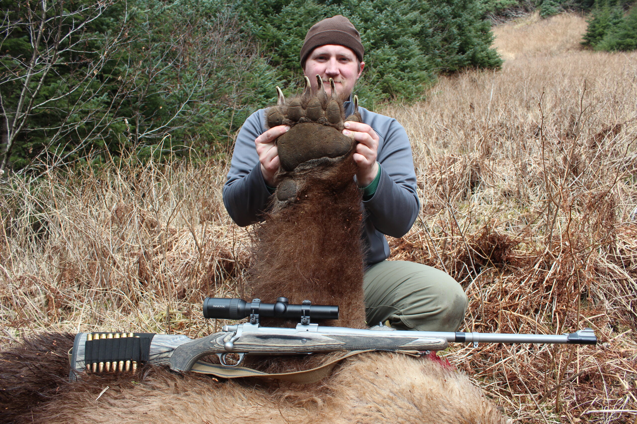 A brown bear with the .375 Ruger