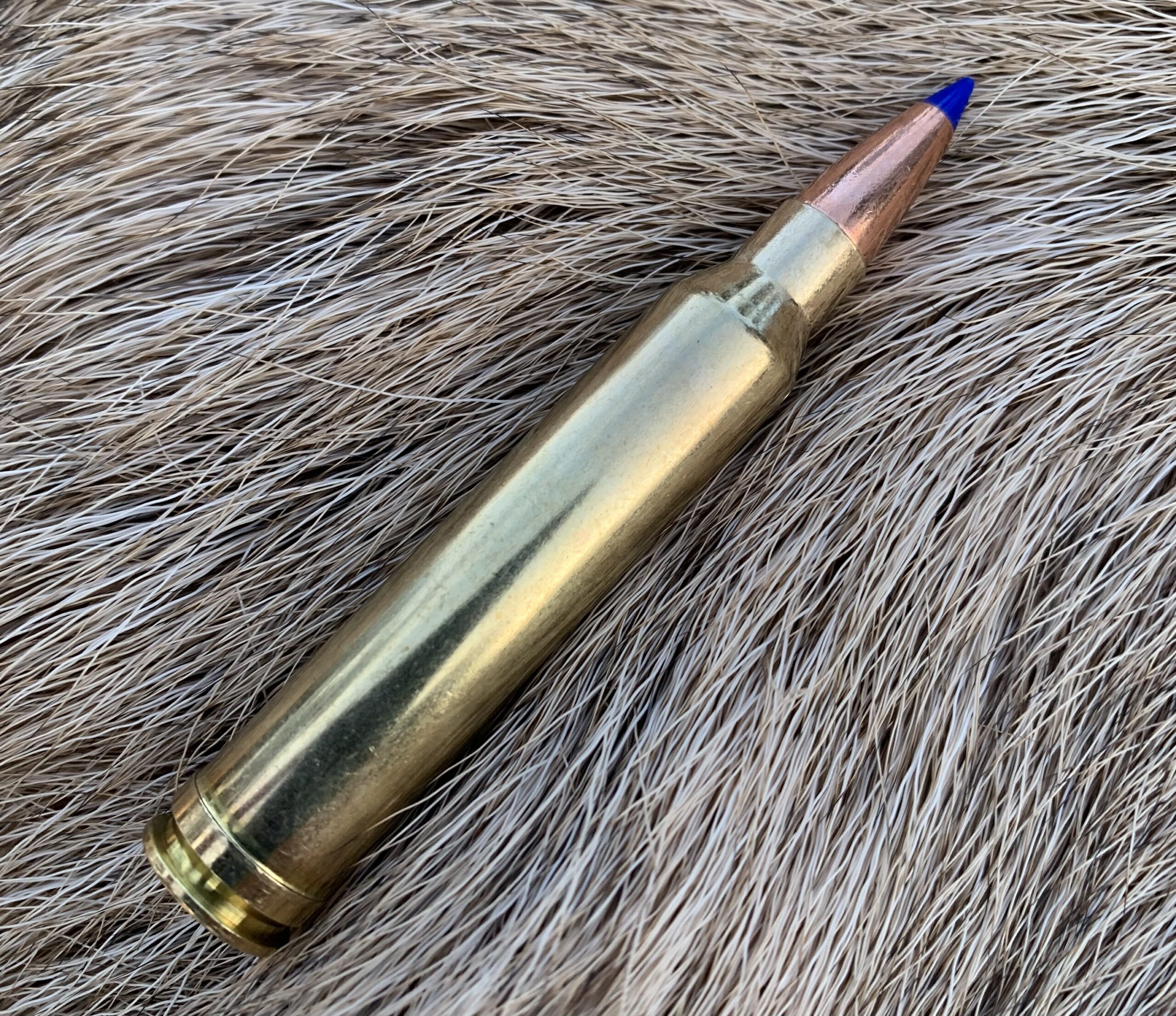 .300 Win. Mag. with Barnes TTSX bullet